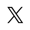 X icon